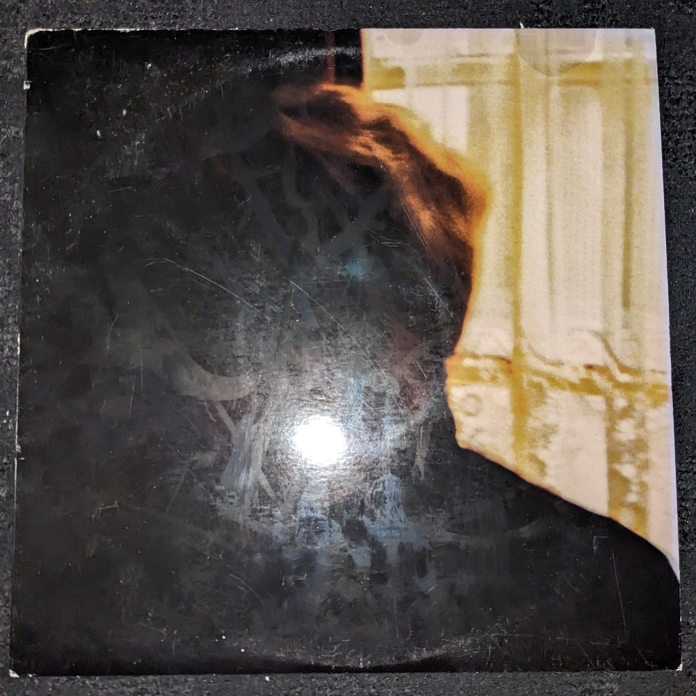 Palace Brothers / Vinyl LP
